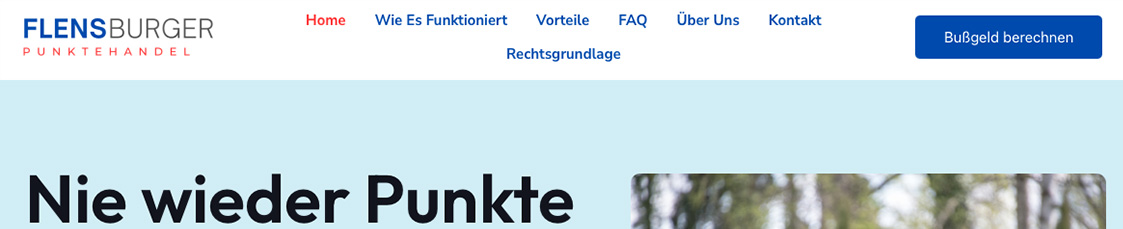 flensburg-punktehandel.de